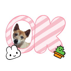 HIKARI_20230209224332