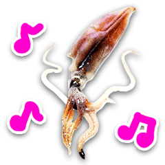 squid stickers
