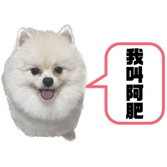 我叫阿肥肥肥