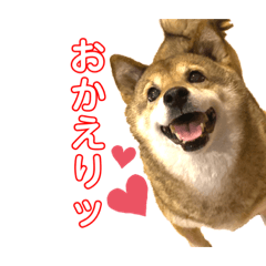 yuka_20230209210822