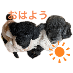 kika_20230210005025
