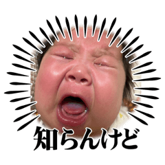 tanuki_20230210115405