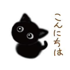 cute black cat kitten