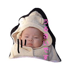 hiyori_20230210141332