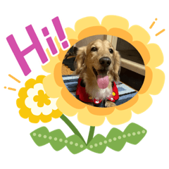 Stacy_20230210101652 - LINE スタンプ | LINE STORE