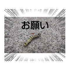 〜昆虫2〜