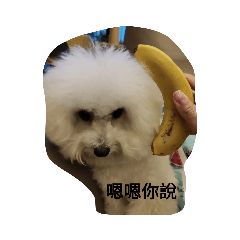 班比敲可愛貼圖2