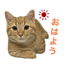 natsumi_20230211095843