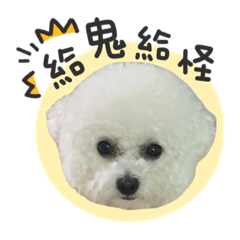 百萬來了2