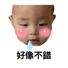 Money可愛日常表情