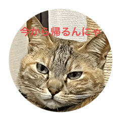 maso_20230211095707