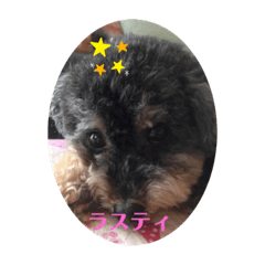 Smile_20230210205409