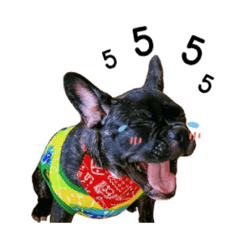 Love my Dog ._20230210223641