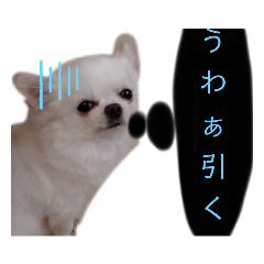 misa_20230210201007