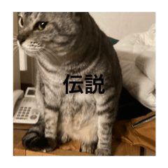 kana_20230210203501