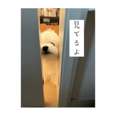 Hana_20230210222608