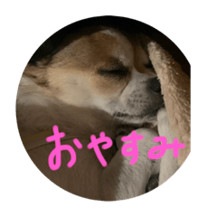 hana_200569