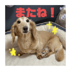 natsumi_20230211110100