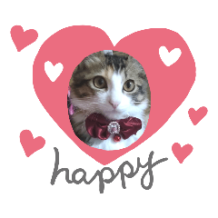 Ponzmama2