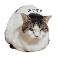 hananotomodati