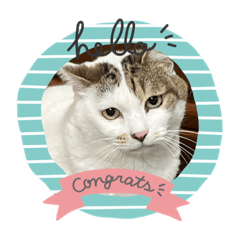 saori_20230211131519