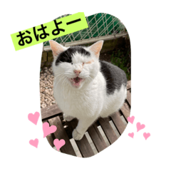Sasha_20230211142733