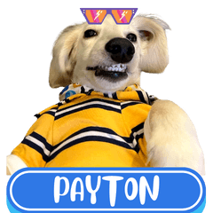 WOOFME WITH PAYTON