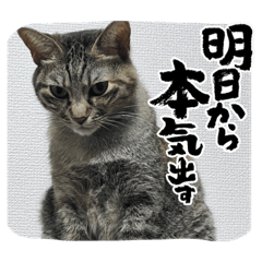 maso_20230211161902