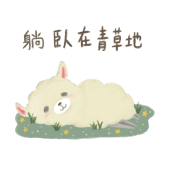 Dear Cute Alpaca