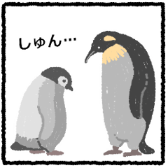 cool penguins.