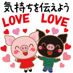 Pigs momo and kuro