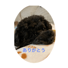 kana_20230211174400