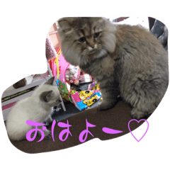 airi_20230212085703