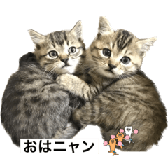 412_20230211210322 – LINE stickers | LINE STORE