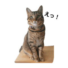 natsumi_20230212001331