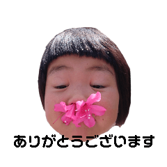 yayoi_20230211203124