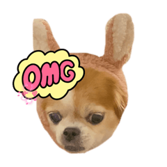 mizuki_20230211230619