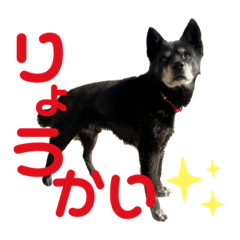 ARISA_20230211212302