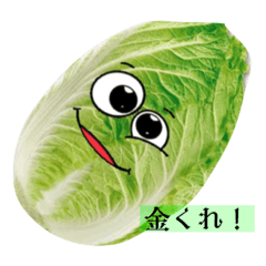 momo_20230212013722
