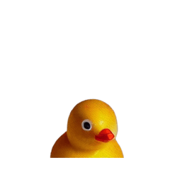 David little ducklings