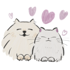 Chubby cat and Pomeranian