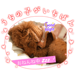 chi-ta_20230212132304