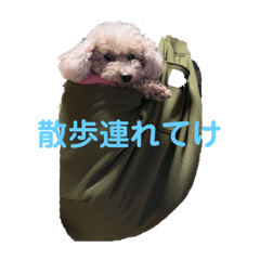 yuto_20230212133618