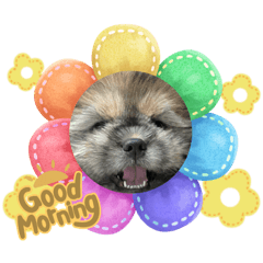 nicosmile_20230212134041