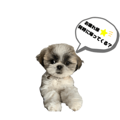 michiko_20230212113903
