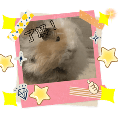 TOM_20230212113217