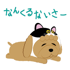 沖縄弁・犬猫かぶりものシリーズ