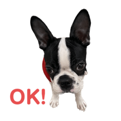 yukari_20230212073843