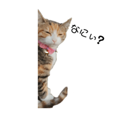 natsumi_20230212135844