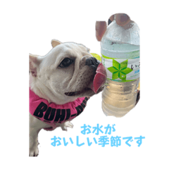 hana_20230212170920